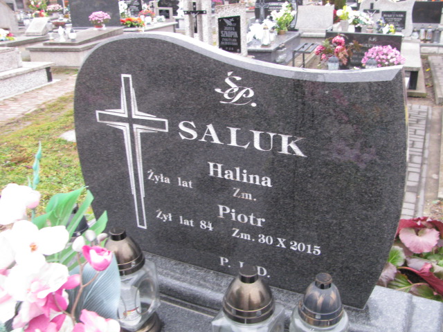 Halina Saluk 1932 Hrubieszów - Grobonet - Wyszukiwarka osób pochowanych