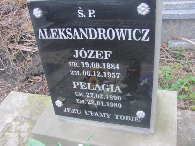 Józef Aleksandrowicz 1884 Hrubieszów - Grobonet - Wyszukiwarka osób pochowanych