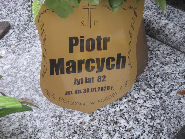 Piotr Marcych 1937 Hrubieszów - Grobonet - Wyszukiwarka osób pochowanych