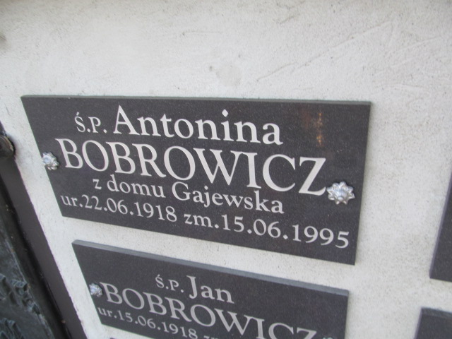 Anna Bobrowicz 1887 Hrubieszów - Grobonet - Wyszukiwarka osób pochowanych